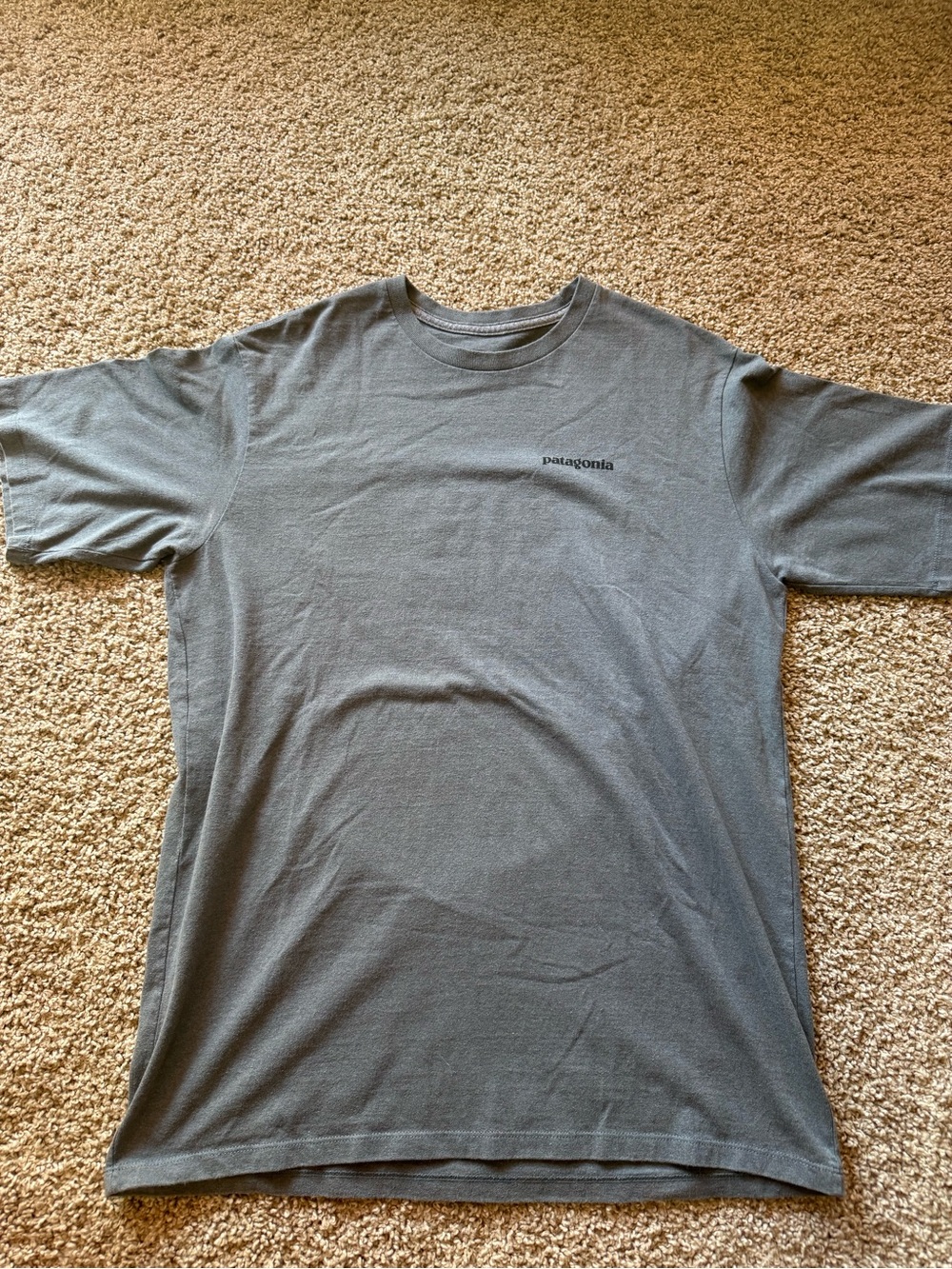 Patagonia Short-Sleeve Crew Tee - Slate Gray